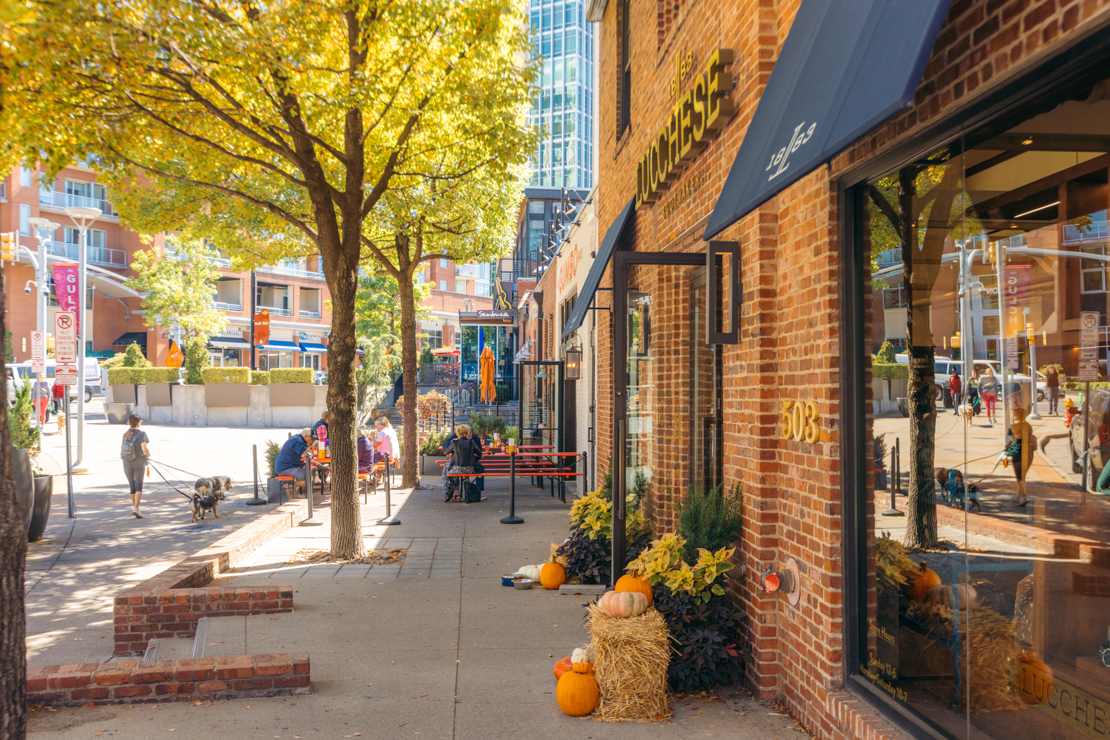 Graces Alley | The Gulch | Fall