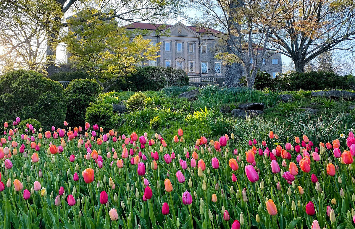 Cheekwood Estate & Gardens